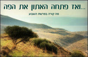 פרשת בלק: בא לקלל ונמצא מברך